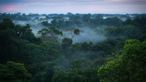 Ecotourism in Brazil | VisitBrazil.net